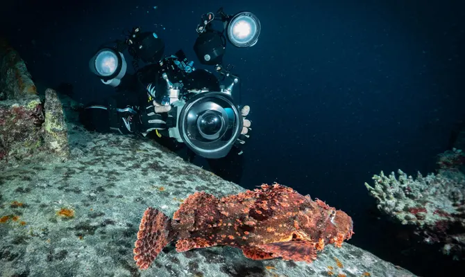 Snorkeling la decouverte des fonds marins